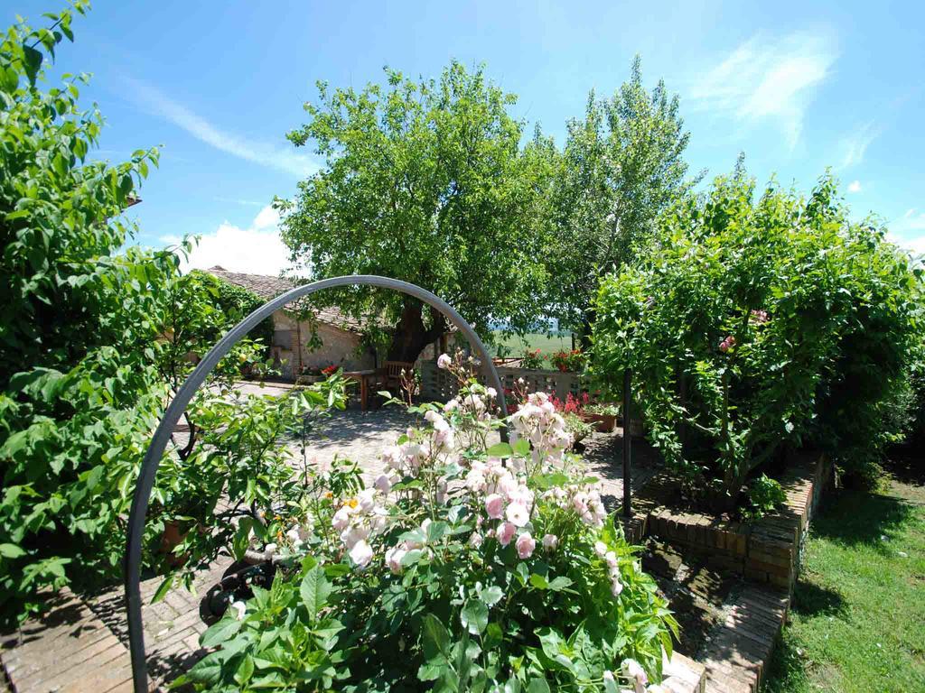 Agriturismo Etrusco Murlo Extérieur photo